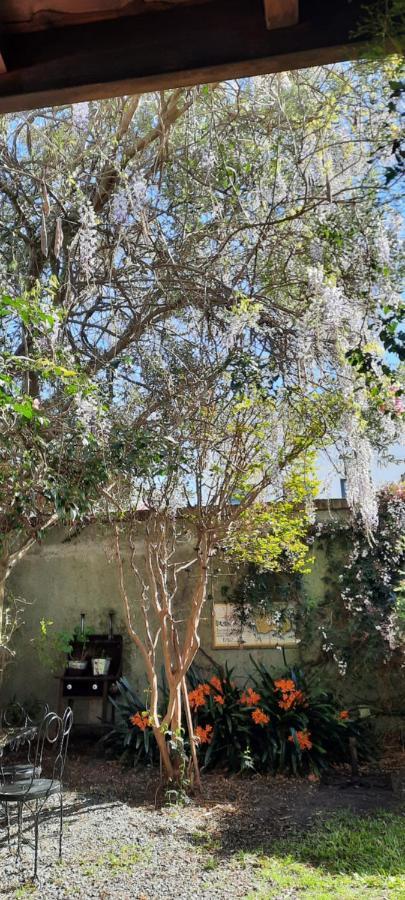 Vila Casa En Barrio Historico Colonia del Sacramento Exteriér fotografie